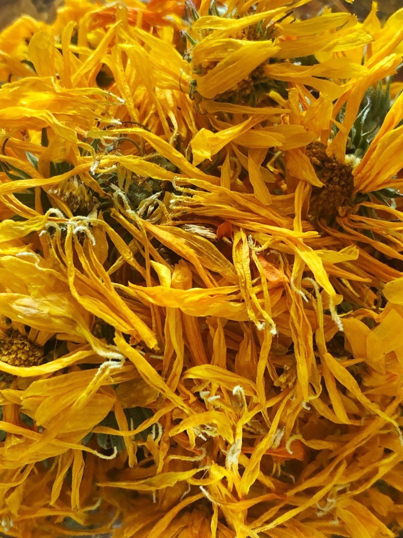 CALENDULA FACIAL OIL