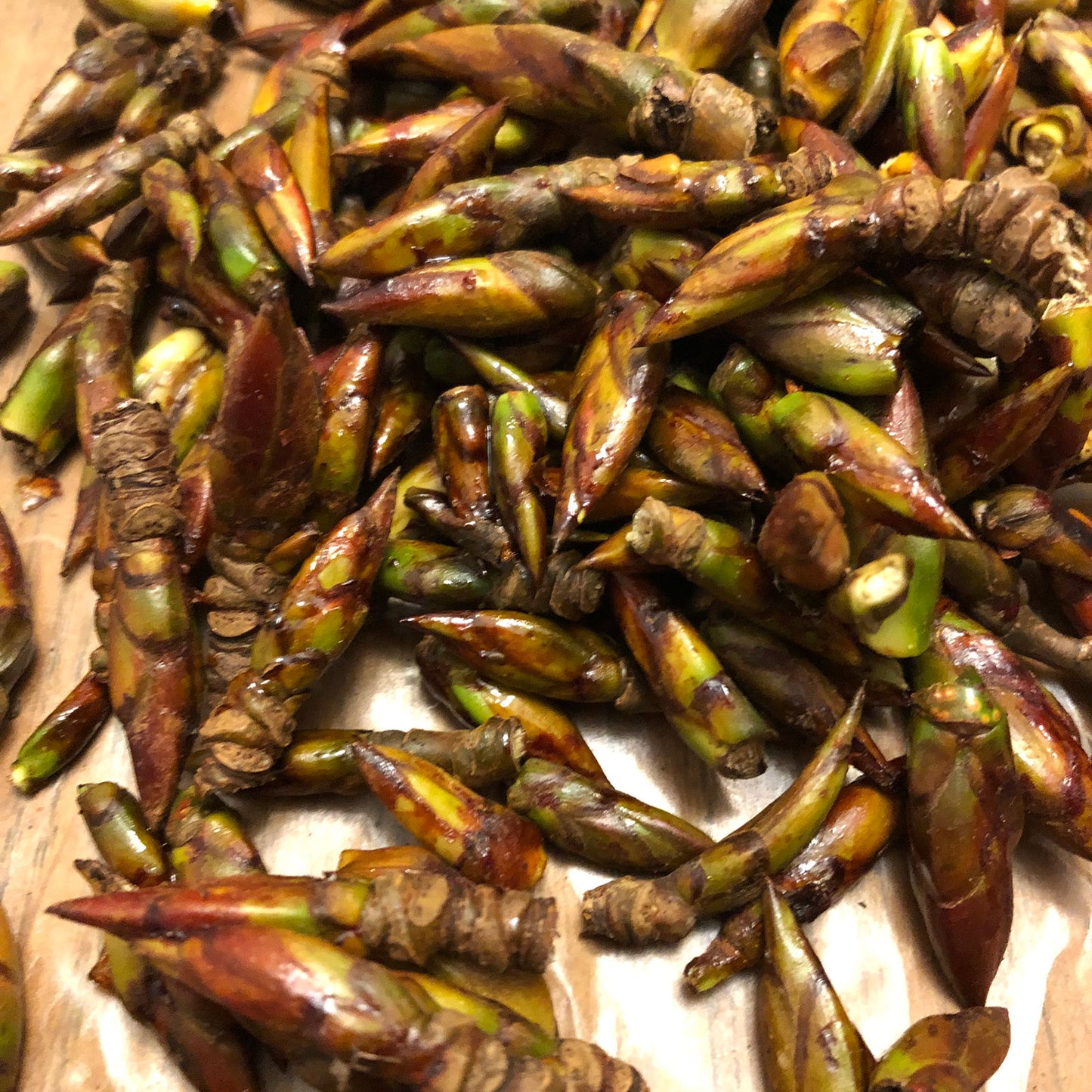 COTTONWOOD LAVENDER BODY BALM